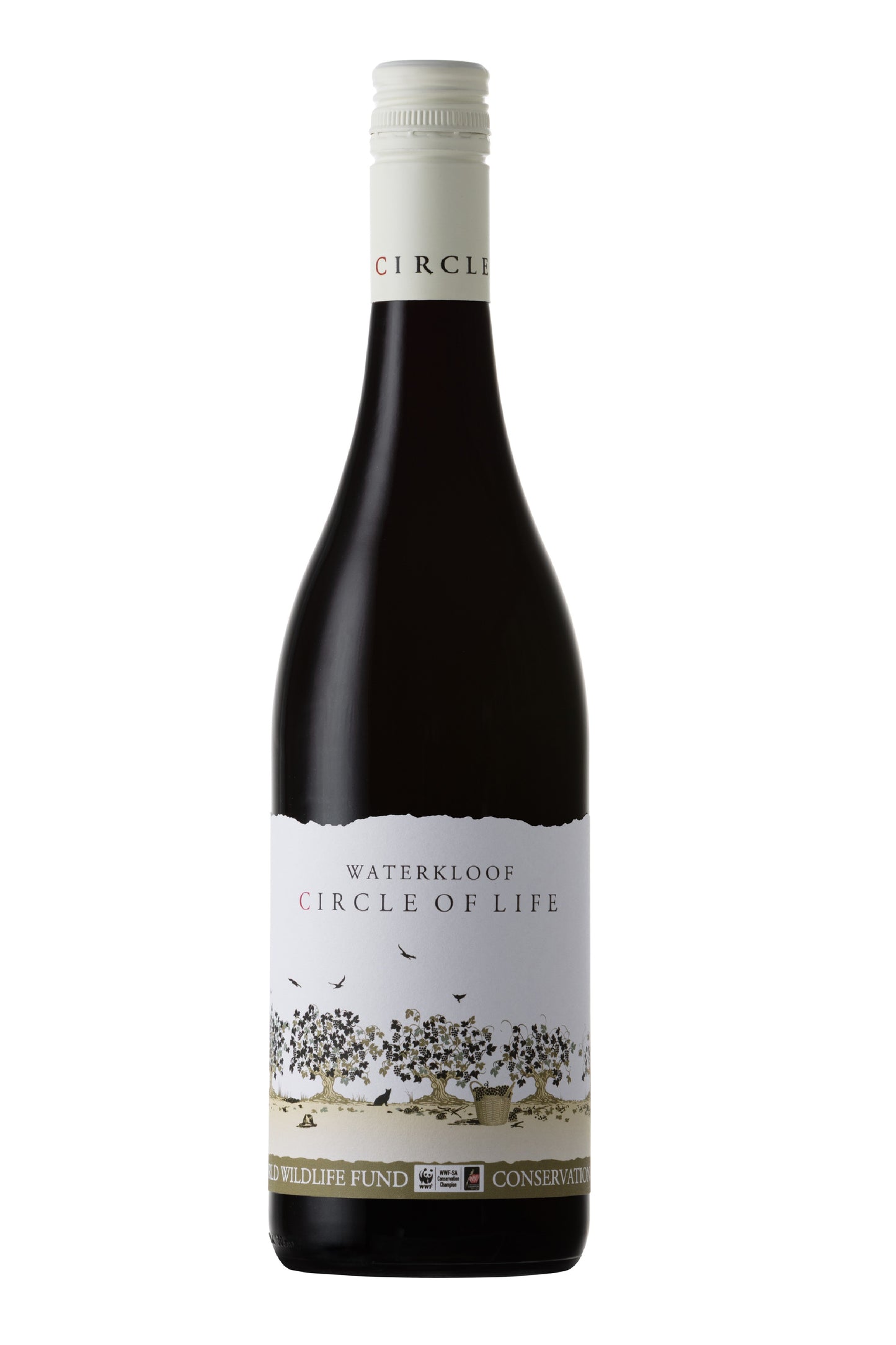 Circle of Life Red, WO Stellenbosch 2023