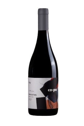 CoPa País, Valle de Itata 2021