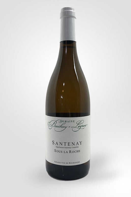 Santenay Sous La Roche Domaine Bachey Legros  2020